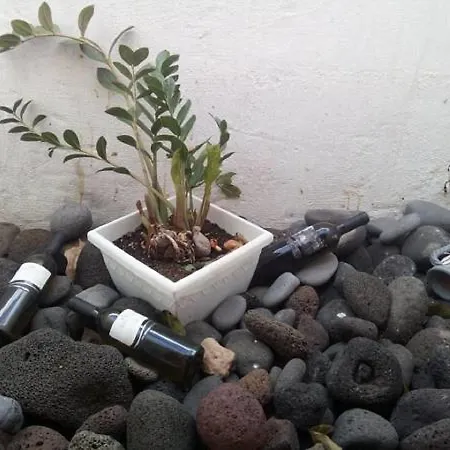 Сasa de vacaciones Finca Las Rosas Viejas